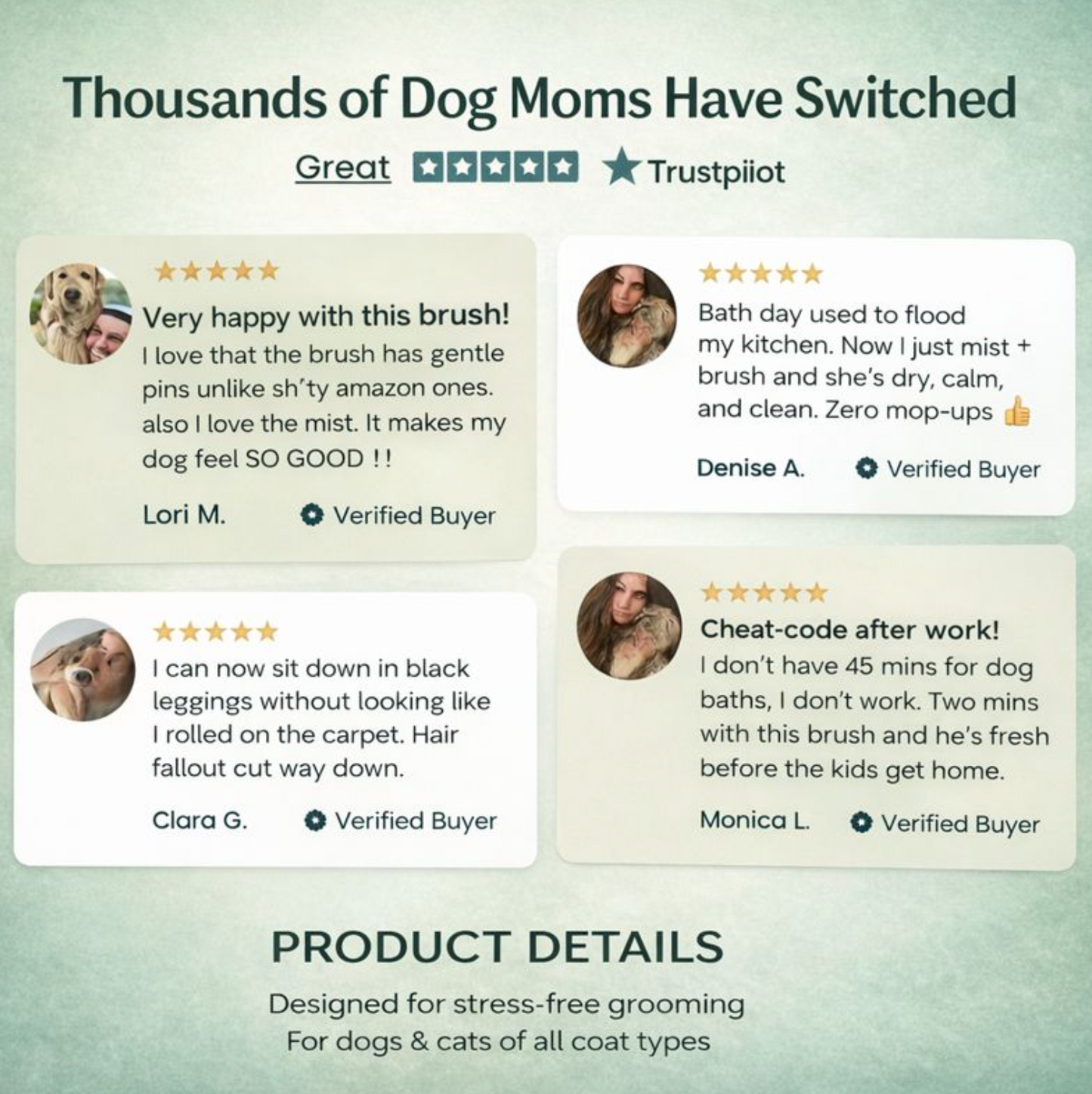 Pet Steam Brush (2 in 1)